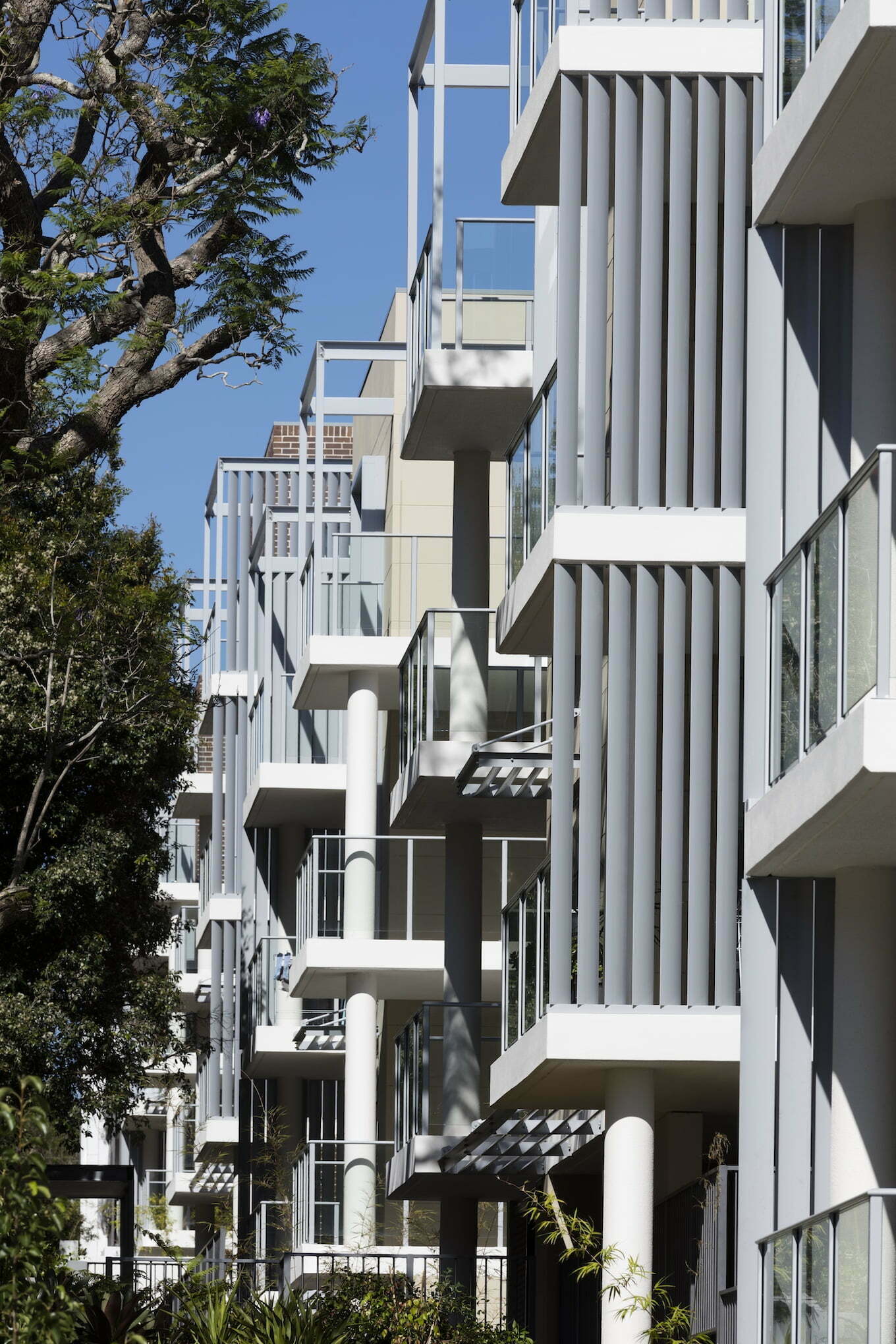 Watsons Grove Apartments, Lane Cove — BKA Architecture