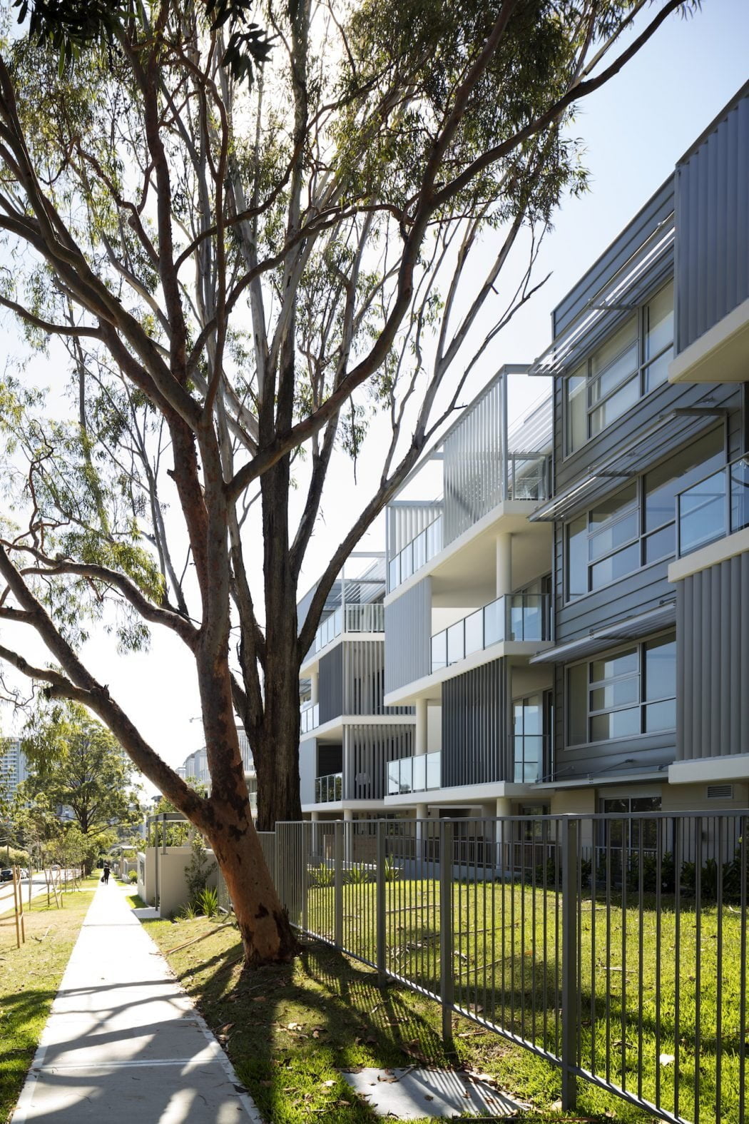 Watsons Grove Apartments, Lane Cove — BKA Architecture